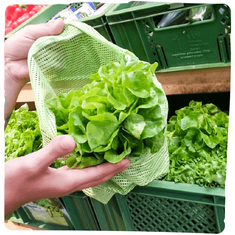Bio Salat im Netz